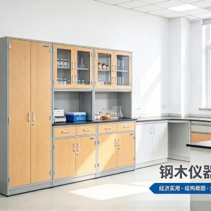 钢木仪器柜