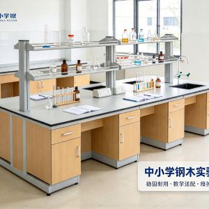中小学钢木试验台